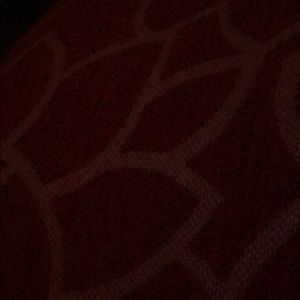 Meet your Posher, Nelly